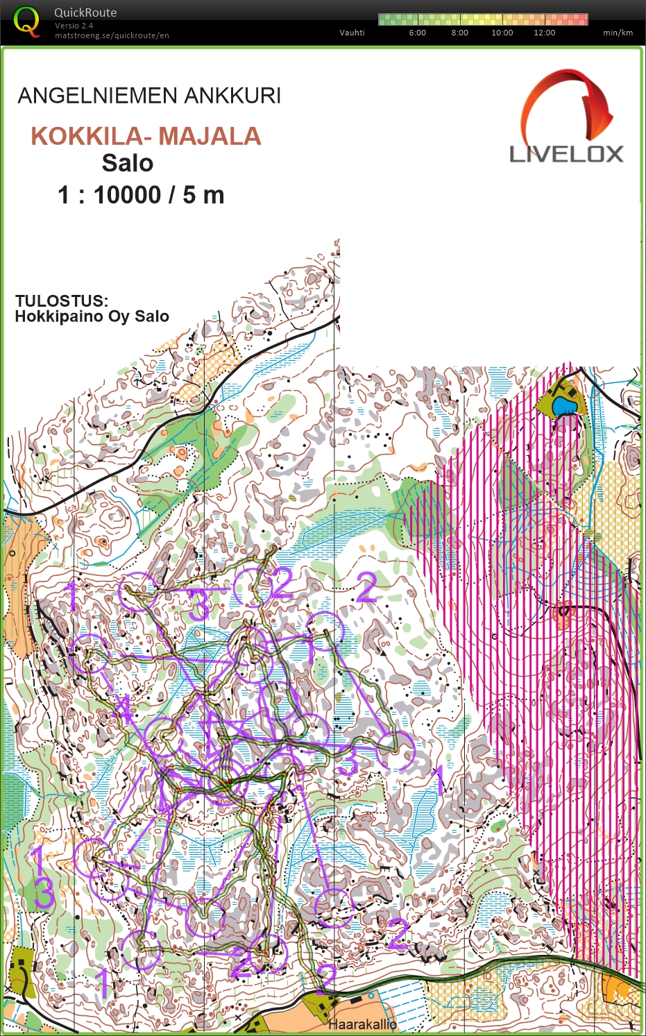 Kokkila (25/04/2025)