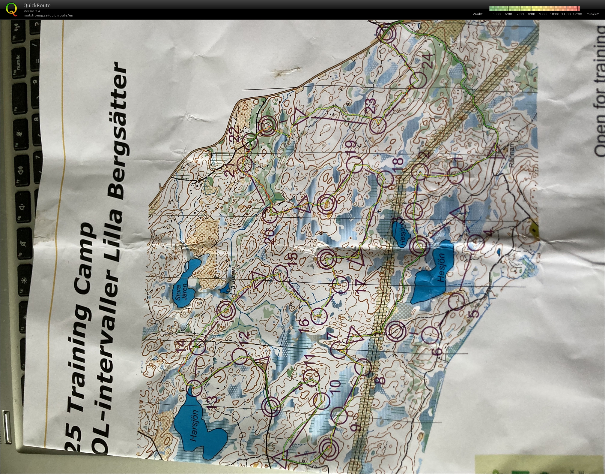 Lilla Bergsätter (2025-05-02)