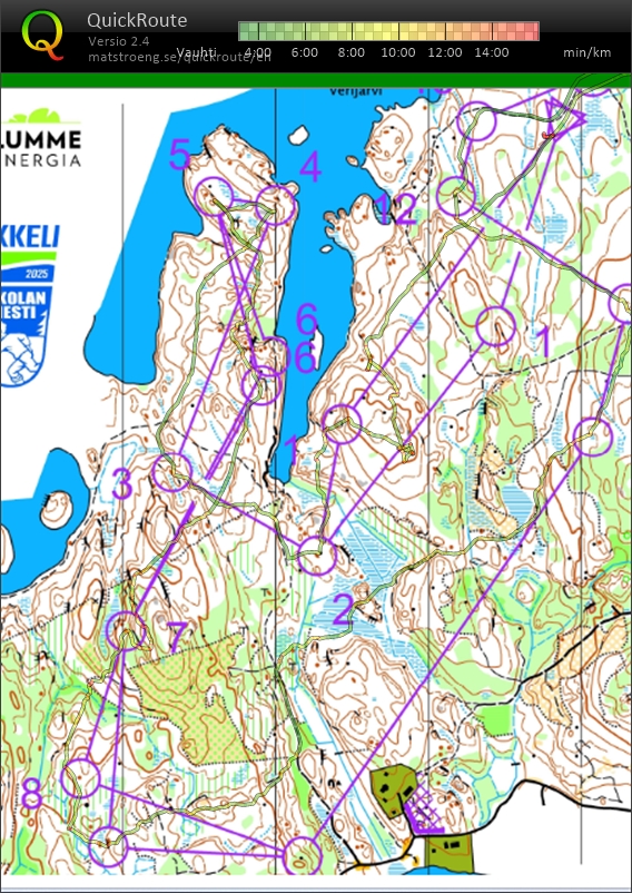 Koivikko (19-08-2025)