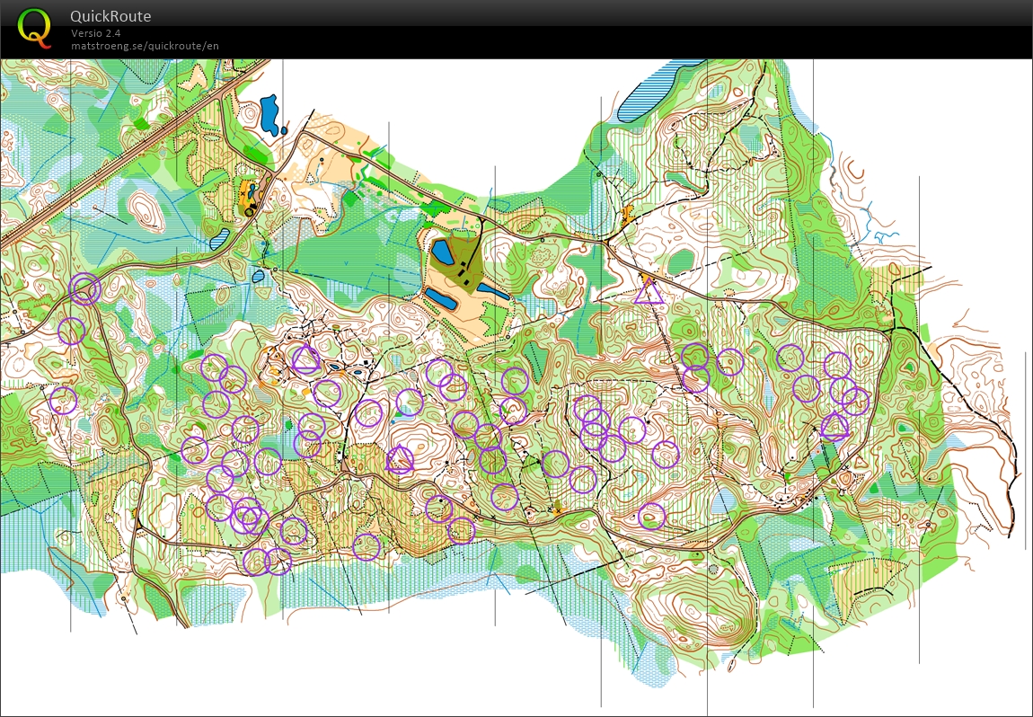 Pokaini (31/03/2026)